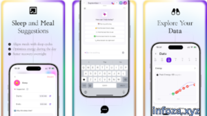 Lifestack APK